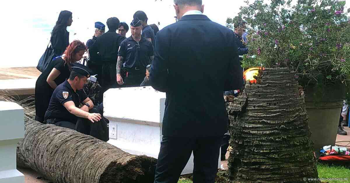Mann durch umfallende Palme beim Filmfest Cannes verletzt