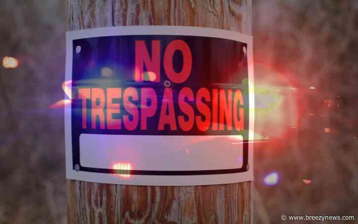 Felony False Pretenses, Trespassing, and Drug Charges in Leake and Attala