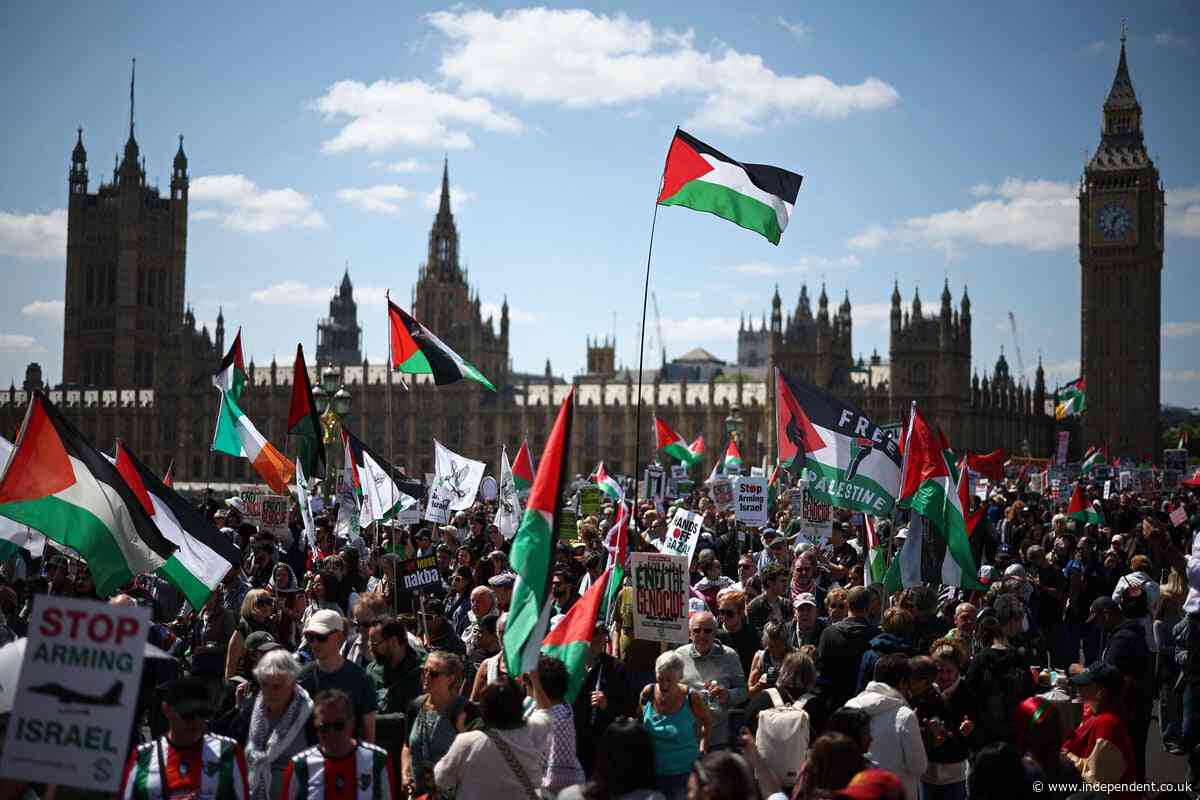 Tens of thousands of pro-Palestine protesters march on Downing Street for Nakba anniversary