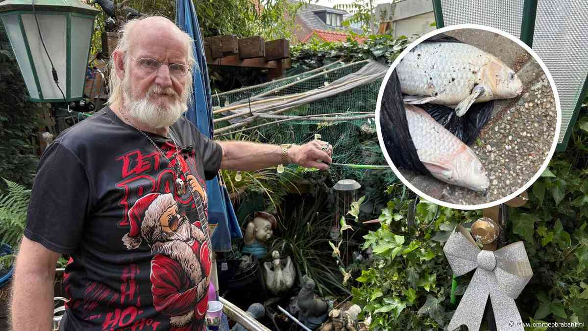 De peuken van bouwvakkers kosten het leven van de karpers van Piet (75)