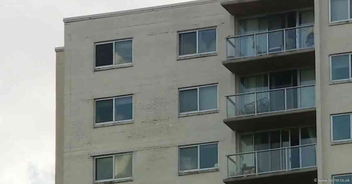 Boy, 2, survives 15-storey tower block plunge after landing in shrub in 'miraculous' escape