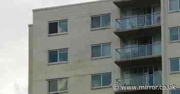 Boy, 2, survives 15-storey tower block plunge after landing in shrub in 'miraculous' escape
