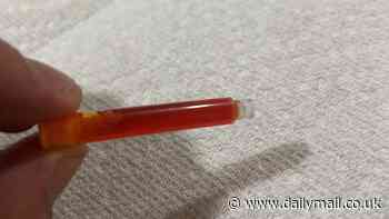'Strange' plastic tube with orangish liquid in leaves people baffled but it has a very handy use