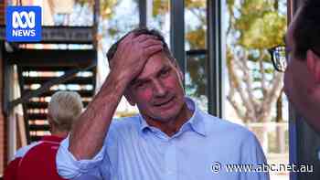 Get ready for more wildness as the Coalition grapples with defeat