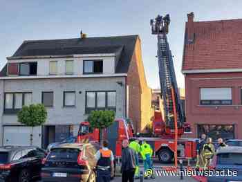 Hevige brand in loods in Mechelen, aanpalende woning voorlopig onbewoonbaar: “Ik keek buiten en zag dat mijn terras in brand stond”