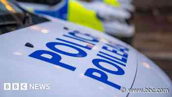 Dog walker subjected to 'frightening' gang attack