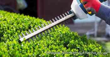 How to avoid common garden mistakes that could lead to conflict with neighbours