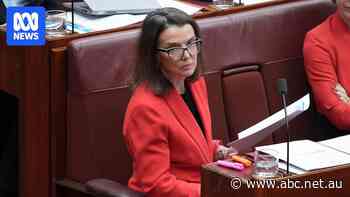 Net zero and nuclear should not be in Coalition agreement, according to Ruston