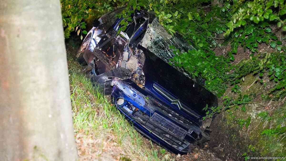 Dronken automobilist ramt meerdere bomen, auto belandt in greppel