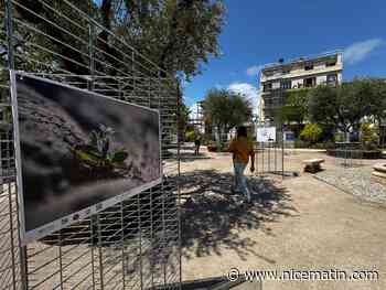 "Flowers power": le concours photo organisé dans le cadre des Floralies à Antibes se poursuit ce dimanche, au jardin d’Eden