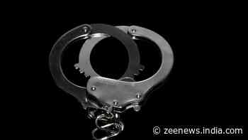 YouTuber Jyoti Malhotra Suspected Of Spying For Pakistan Held Under Official Secrets Act, Sent To 5 Days Police Remand