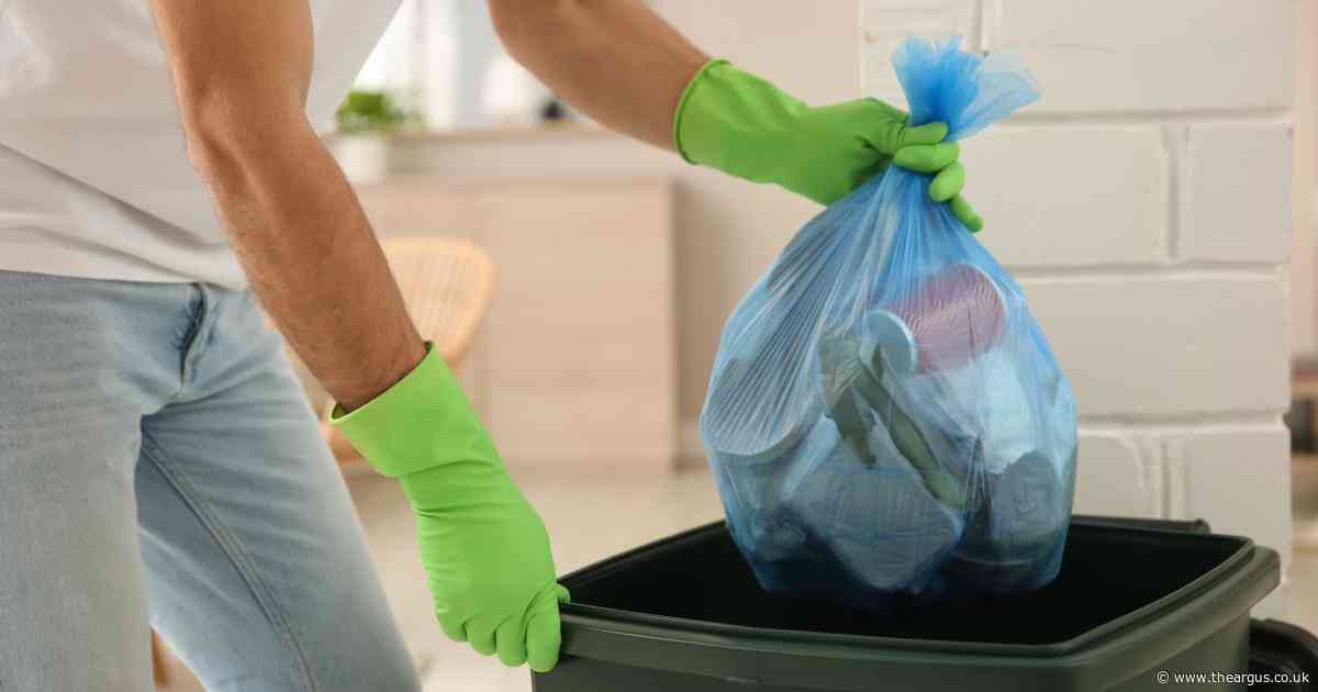 Expert shares the 65p hack that will stop your bins from smelling this summer