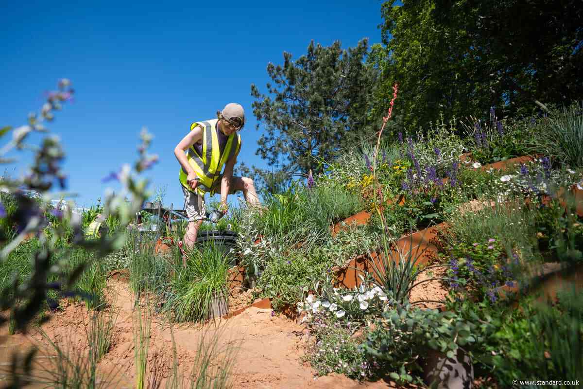 Chelsea gears up for future of extremes as dry spring affects show preparations