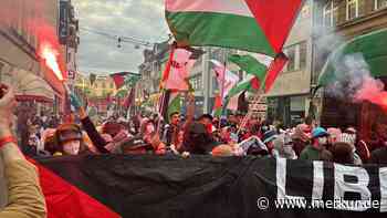 Tränengas und Gummigeschosse gegen Anti-Israel-Demo während des ESC