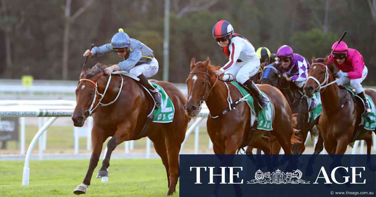 Warpainted set to get back to winning ways after stable switch