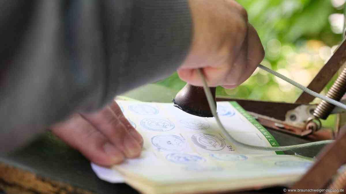 Exklusiv in Bad Sachsa: Harzer Wandernadel bietet dieses Highlight