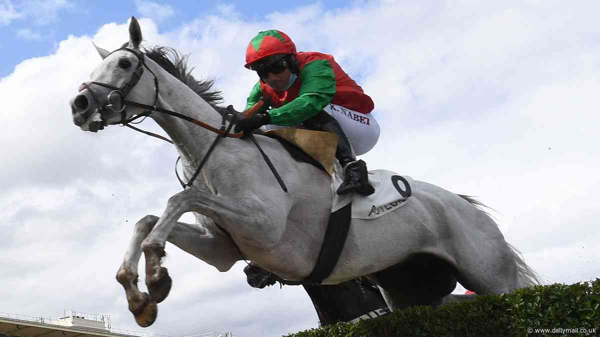 Insane moment jockey holds on for dear life as French rider clings onto TWO horses at once after falling off favourite during jump