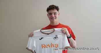 Swansea City announce second summer transfer signing as compensation package revealed