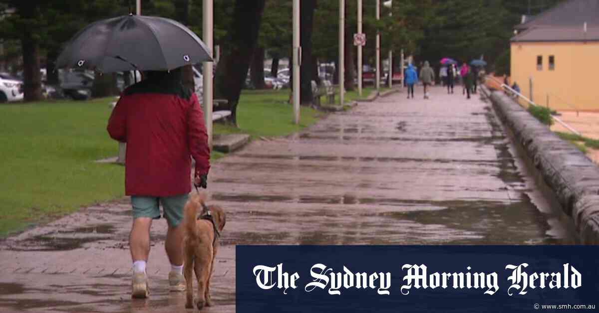 NSW braces for more wet weather