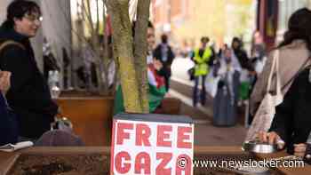 Tienduizenden verwacht bij demonstratie Den Haag, willen actie kabinet tegen Israël