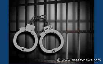 Domestic violence, simple assault and other recent Kosciusko arrests