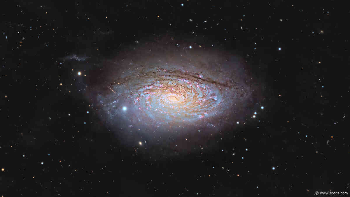 Amateur astrophotographer catches a cosmic sunflower in bloom