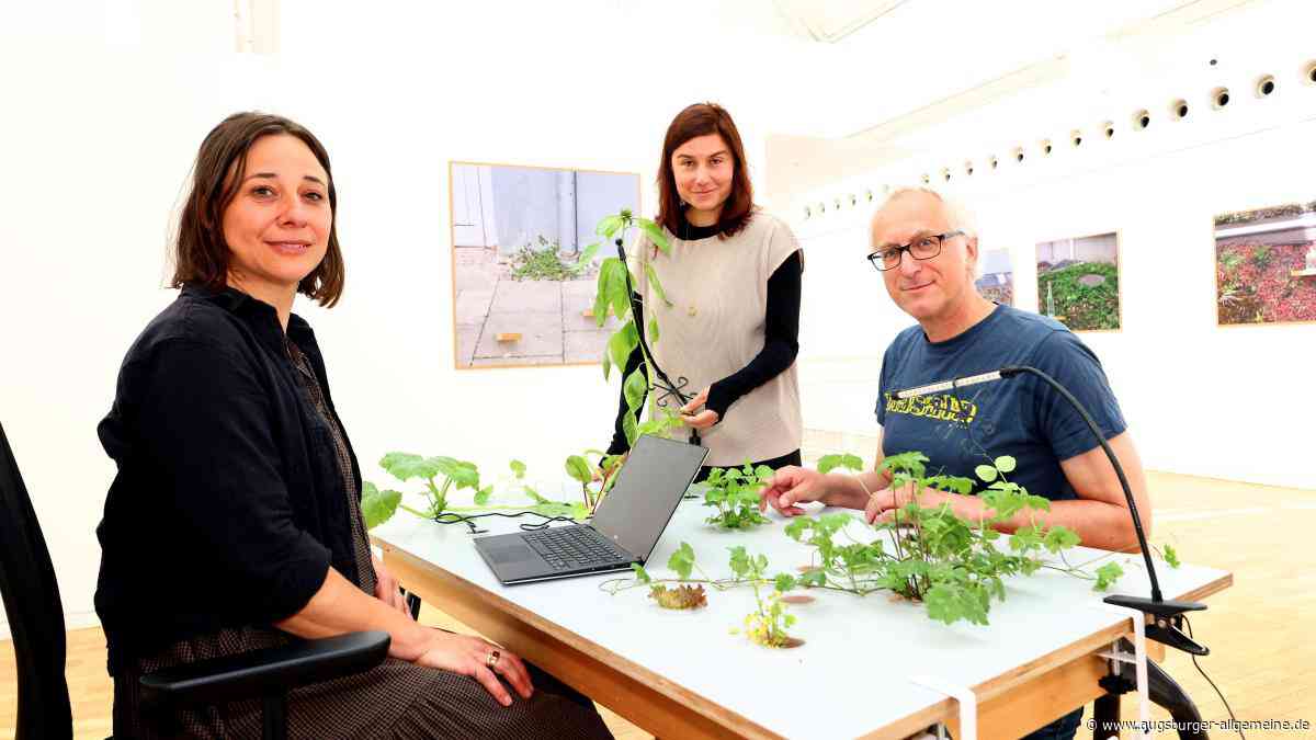 Ausstellung im Stadthaus Ulm: Das können wir von Pflanzen lernen