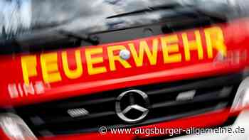 Beim Grillen gerät die Hecke in Brand
