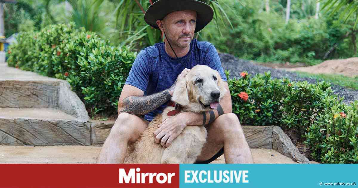 I was an alcoholic who changed the life of abused dog - until unthinkable happened