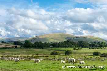 MPs warn inheritance tax shake-up could cripple tenant farming sector