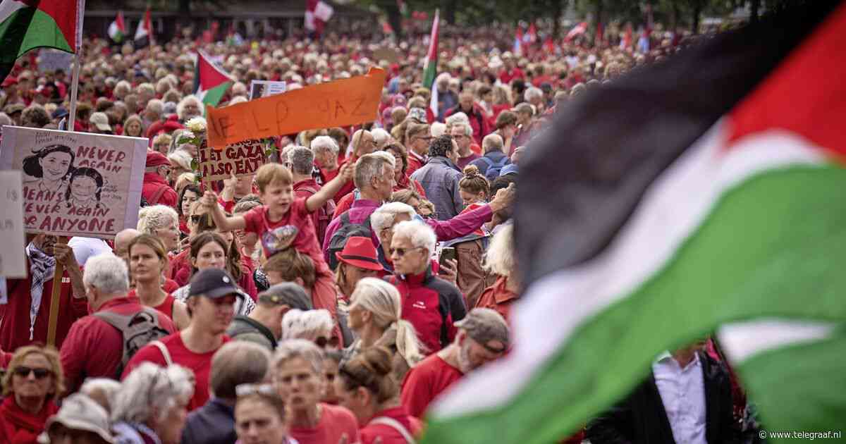 Al tienduizenden mensen op Malieveld voor Gaza-protest