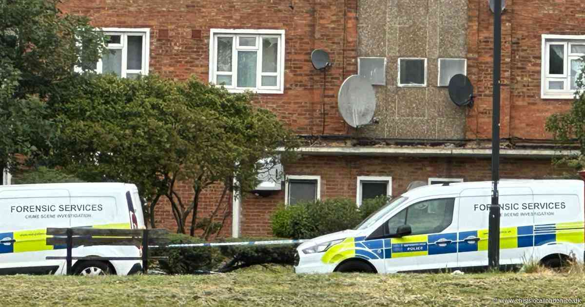 Man killed in fatal Kingsbury stabbing