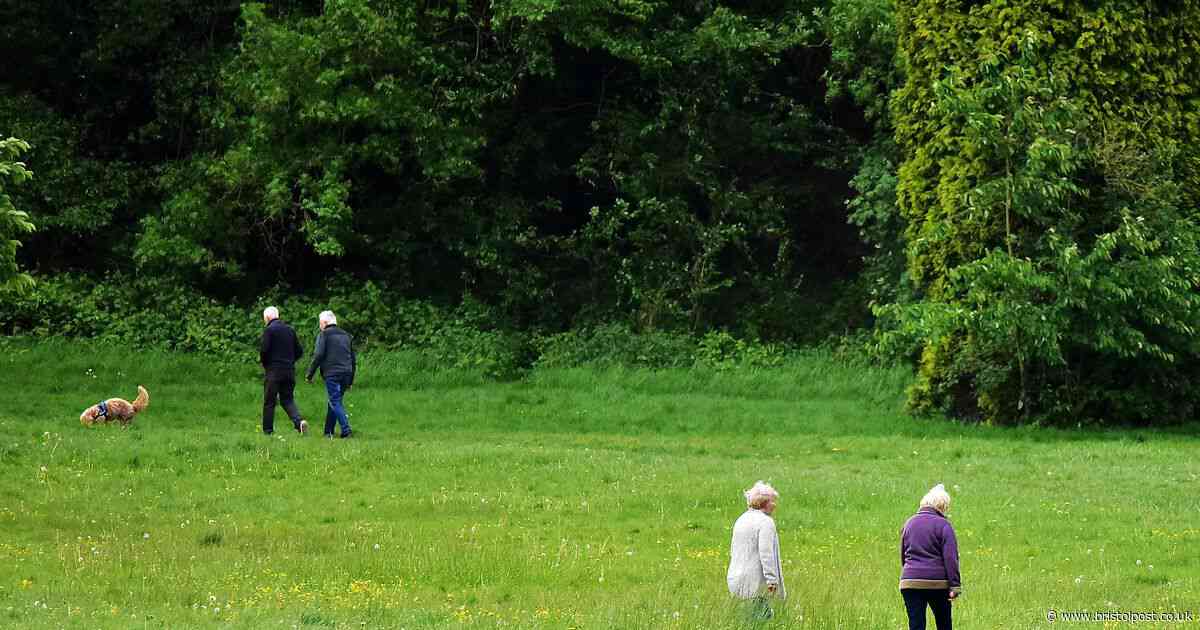 Bristol's best park as North Bristol estate takes top place