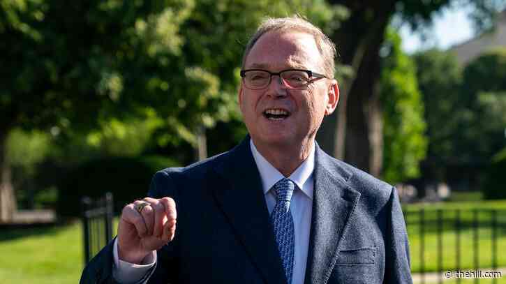Trump economic adviser on debt downgrade: 'Moody's can do what it wants to'