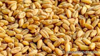 India’s Foodgrain Production Jumps 6.8% To Surpass 1,663.9 Lakh Tonnes In FY25