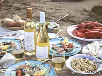 The turning tides of New Brunswick wines