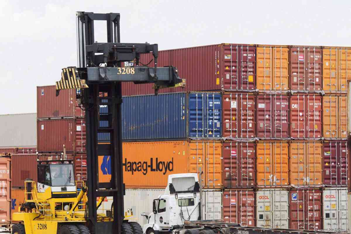 Importers warn new duty payment system could cause headaches, delays