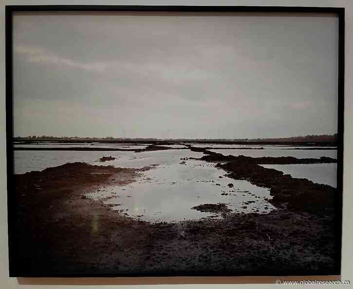 Getting Bogged Down: Expressing the Natural Environment in Art. Bogland and the People of Ireland. Caoimhghin Ó Croidheáin