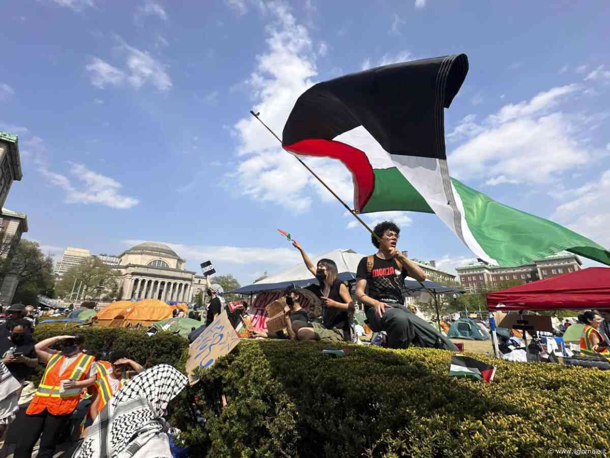 "L'America è in pericolo": cosa c'è dietro il piano del centro studi per eliminare il movimento pro-Pal negli Usa