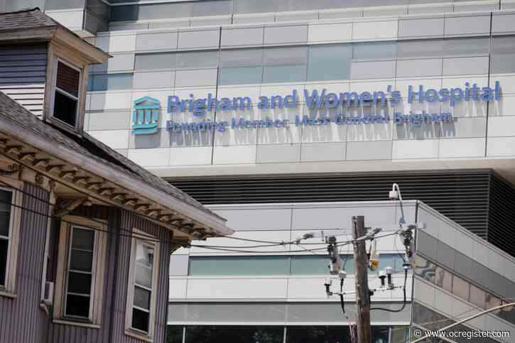 Glioblastoma brain cancer research: Study provides glimmer of hope