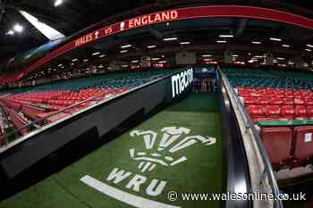 Former Wales captain calls for WRU control of all clubs as 'writing on the wall'