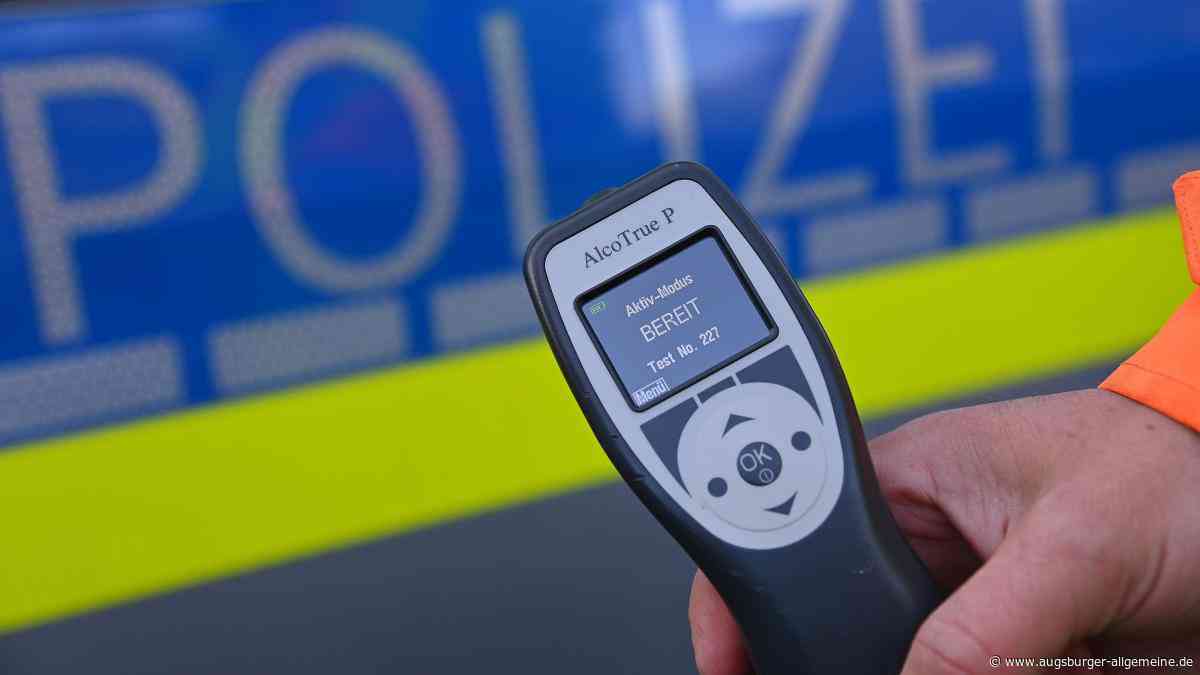 19-Jähriger kommt betrunken von der Fahrbahn ab