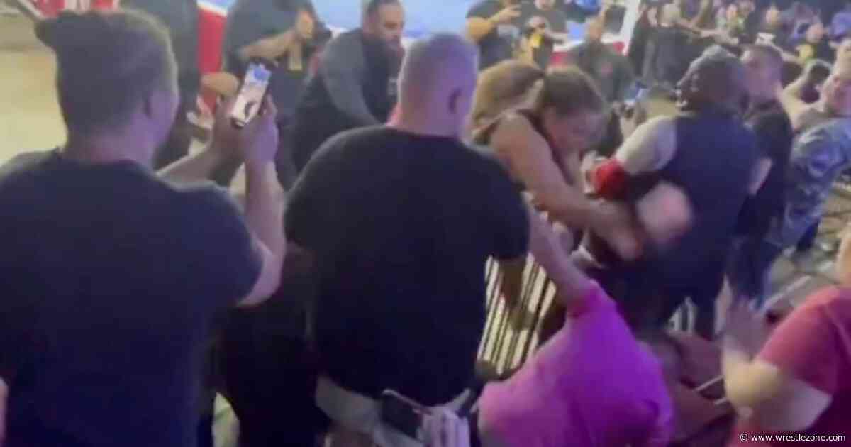 Natalya Attacks Heckling Fan After NWA Debut