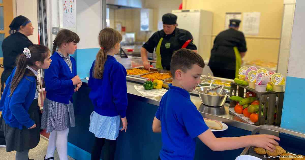 Major changes planned for primary school meals in Wales with new rules on milk, cheese, juice, meat, and more