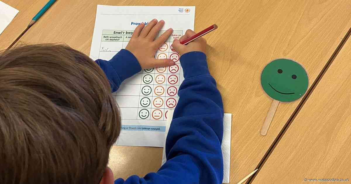 Full list of the foods set to be banned or cut down in Welsh schools