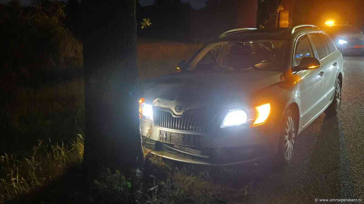 Automobilist botst tegen boom nadat hij uitwijkt voor een overstekende ree