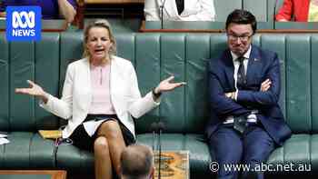 Live: Nationals consider split as Coalition negotiations continue