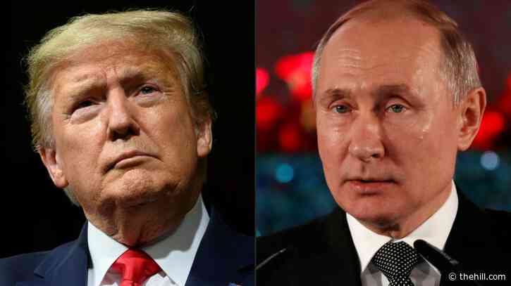 Trump says he didn't bring up 'Vladimir, STOP!' plea in Putin call