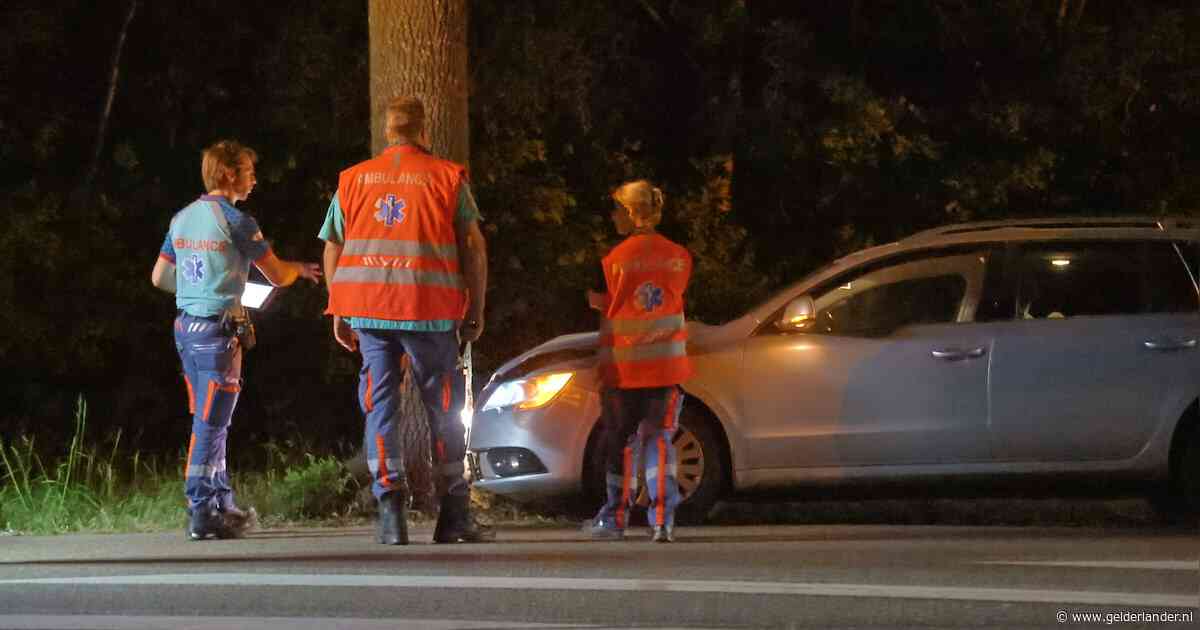 Automobilist wijkt uit voor ree en botst tegen boom in Wanroij