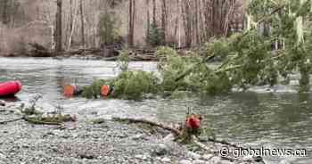 ‘A death trap’: Search and rescue crews warn Cowichan River has changed course